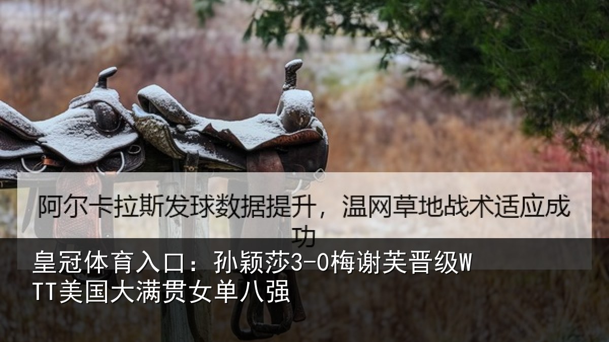 皇冠体育入口：孙颖相关情况大满贯女单八强