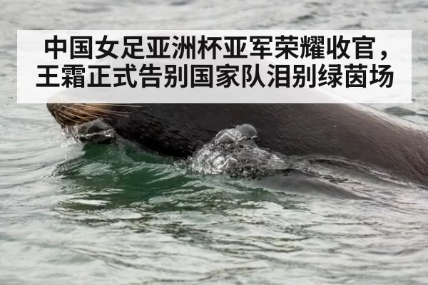 中国女足亚洲杯亚军荣耀收官，王霜正式告别国家队泪别绿茵场